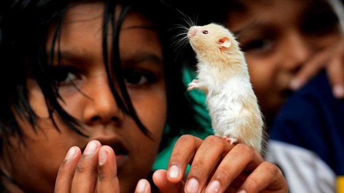 Representative image. Credit: AFP File Photo