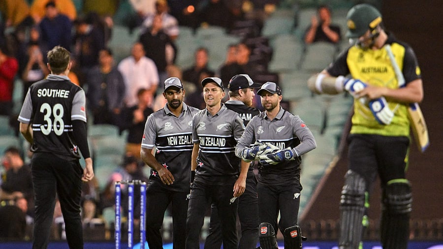 New Zealand players celebrate a wicket during the ICC men’s T20 World Cup match against Australia, October 22, 2022. Credit: AFP Photo