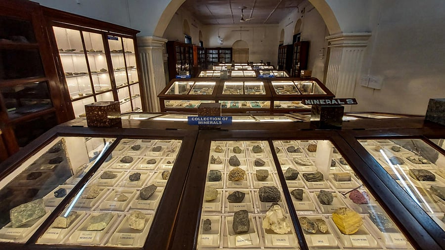 A collection of minerals put on display at College of Engineering Pune Technological University's (COEPTU) newly set-up Geology Museum, in Pune. Credit: PTI Photo