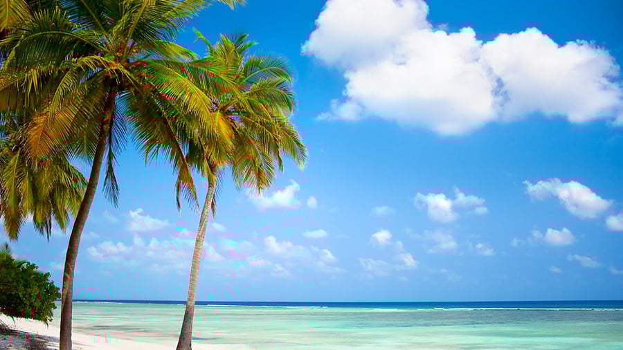 Representative Image. Credit: iStock Photo