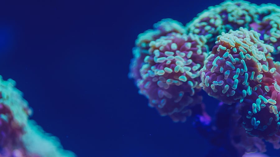 Representative image. Credit: iStock Photo