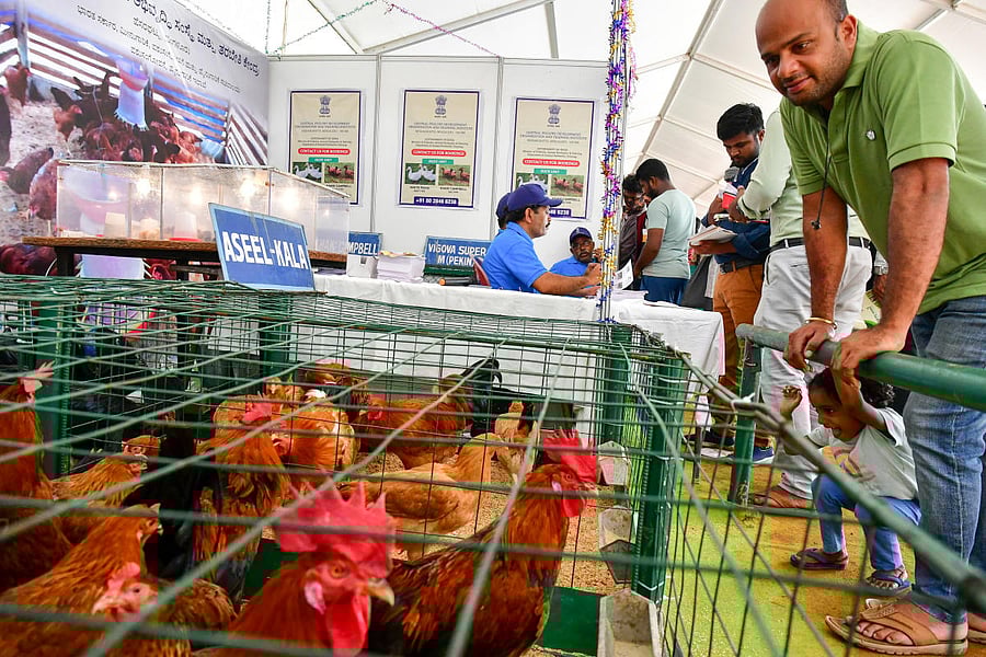 Visitors at a stall at the Krishi Mela, which began in Bengaluru on Thursday. Credit: DH Photo/Krishna Kumar P S