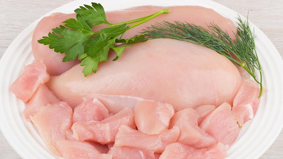 Representative image. Credit: iStock Photo