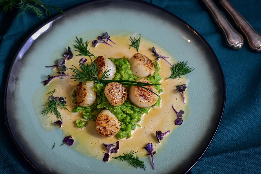 Scallops in a mushy peas sauce