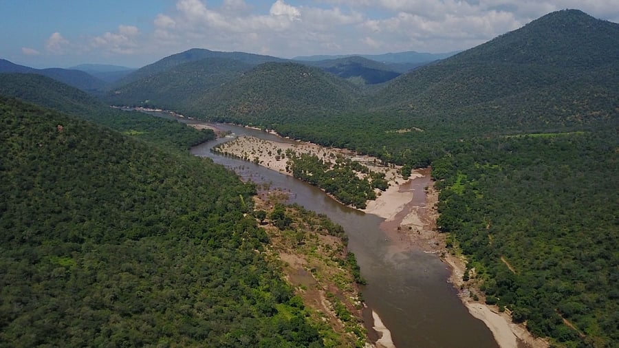 The Cauvery South Wildlife Sanctuary, which will be the 17th wildlife sanctuary in Tamil Nadu, will be critical for a large number of riverine species dependent on the Cauvery reserve forests. Credit: Special Arrangement