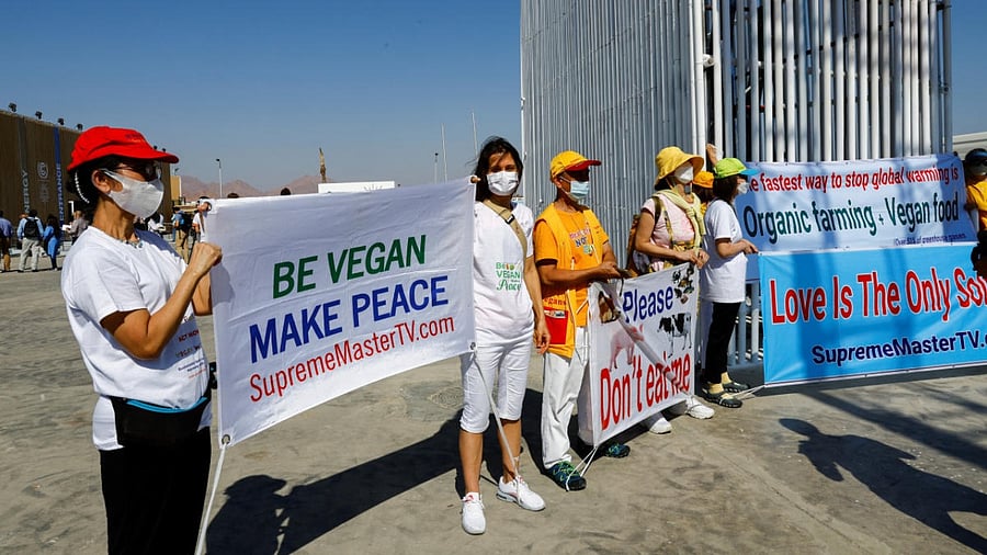 Activists hold banners, as they demonstrate at the entrance of the Sharm El Sheikh International Convention Centre. Credit: Reuters photo