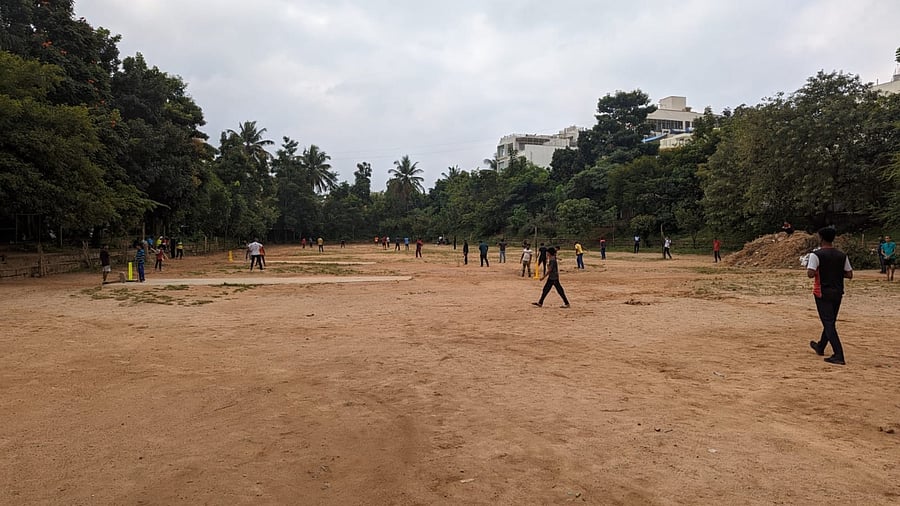 <div class="paragraphs"><p>Representative image.</p></div>