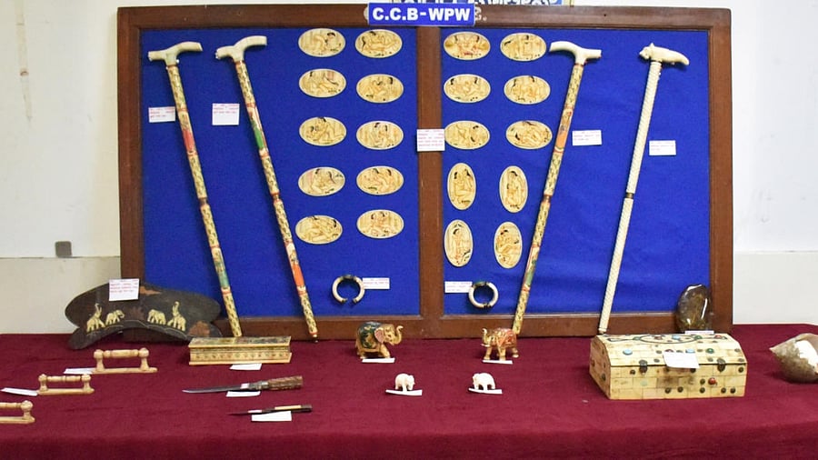 Valuables seized from the gang include four walking sticks, two elephant idols, a bracelet, a box, three door handles, 20 Erotic art works, a knife made from deer antler and amber bearing a scorpion. Credit: Special Arrangement