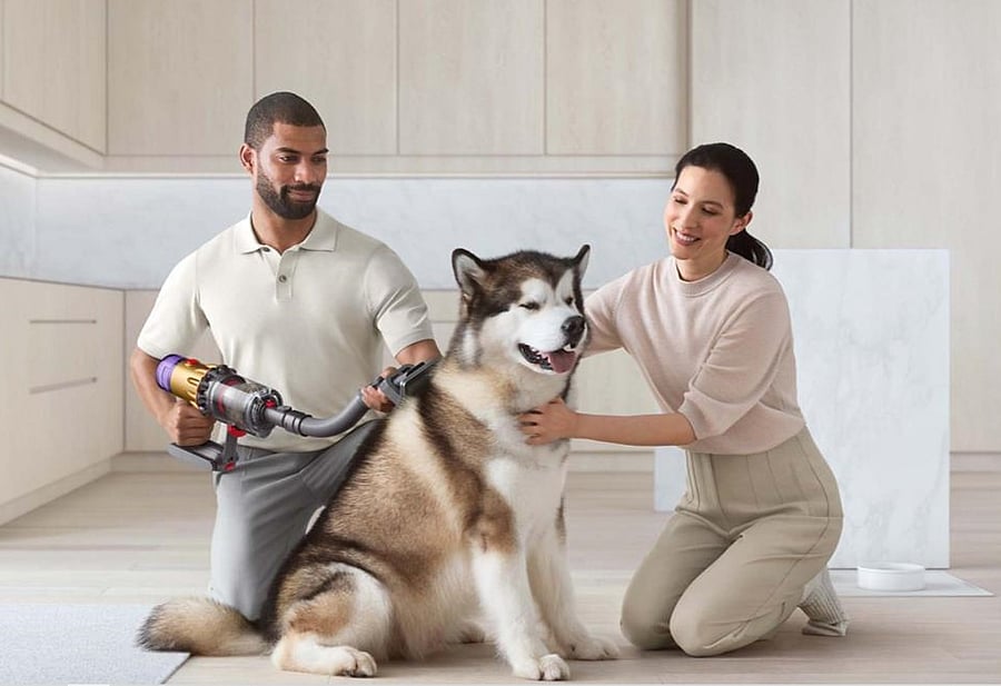 Dyson brings new pet groom tool to India. Credit: Dyson