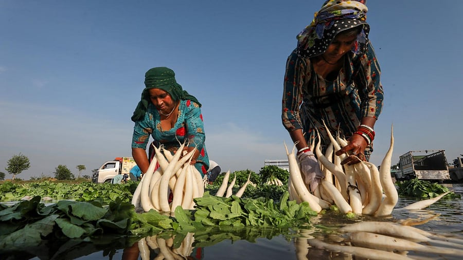 Representative Image. Credit: PTI File Photo