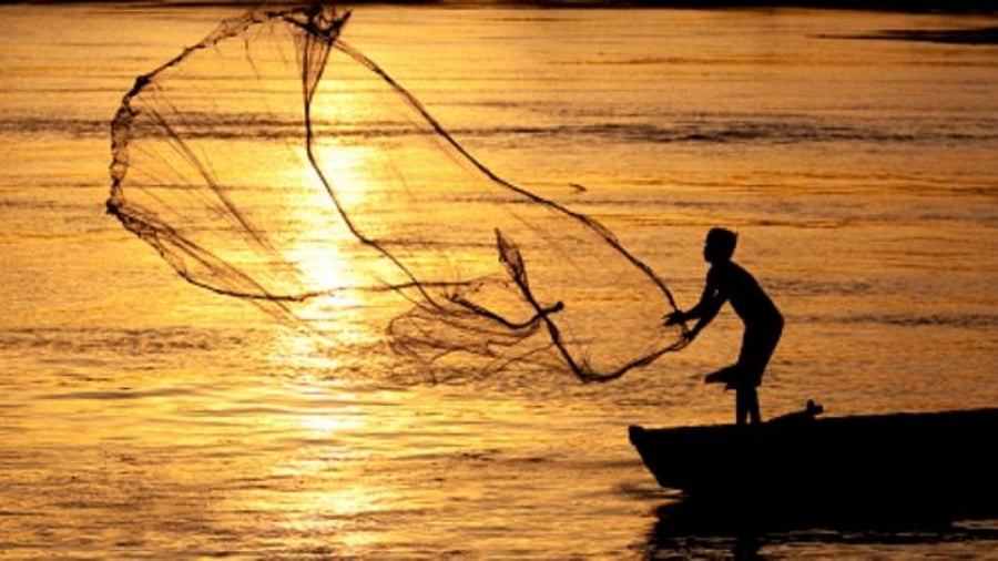 Representative Image. Credit: Getty Images