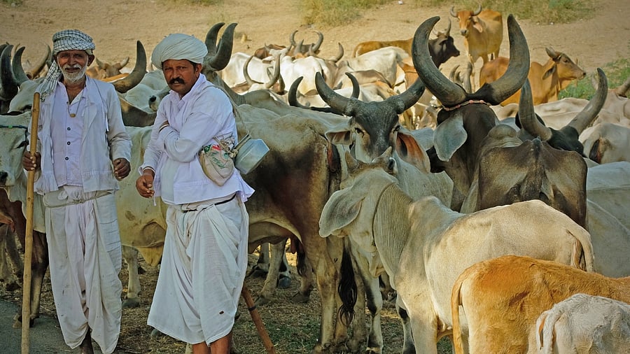 A key issue in the region is the water crisis, especially getting supply from the Narmada river. Credit: iStock Photo