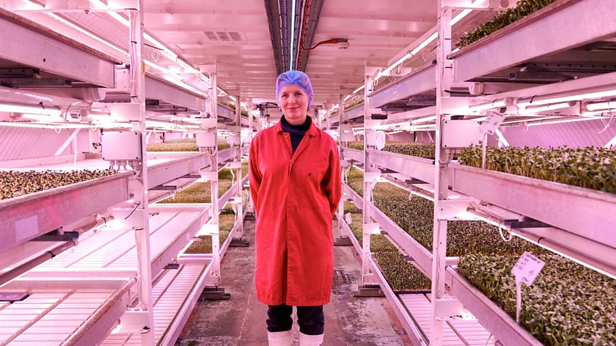 Zero Carbon Farm's business development director Olivia O'Brien poses near the underground farm. Credit: Reuters 