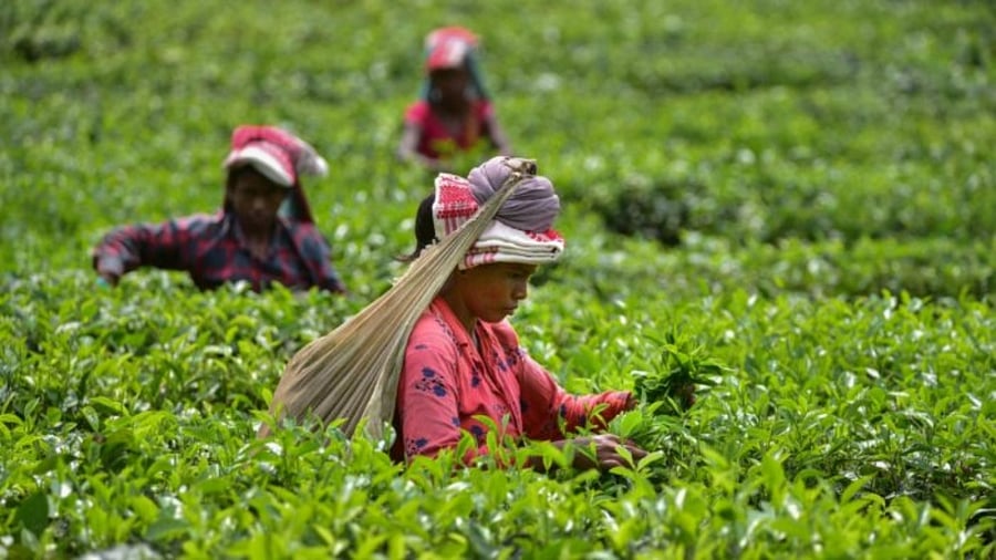 Representative Image. Credit: PTI Photo