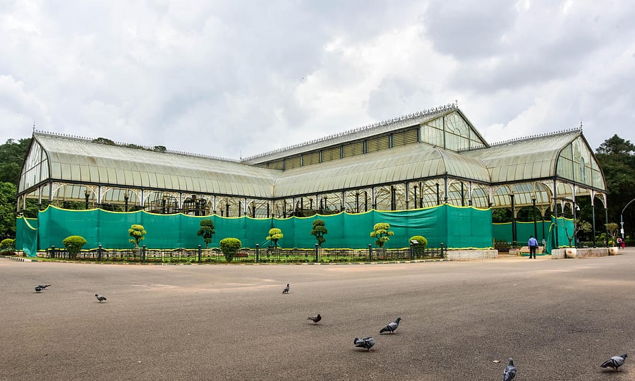 Lalbagh botanical garden. Credit: Prajavani Photo