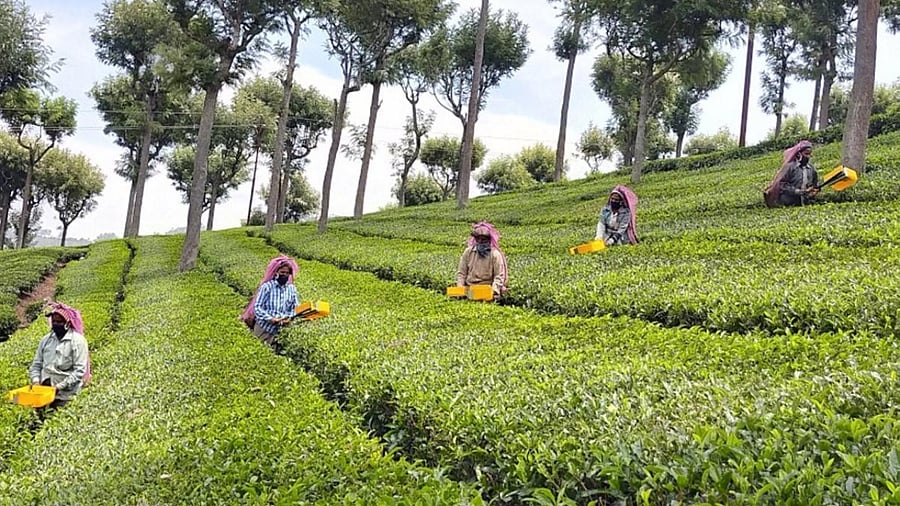 Representative Image. Credit: PTI Photo