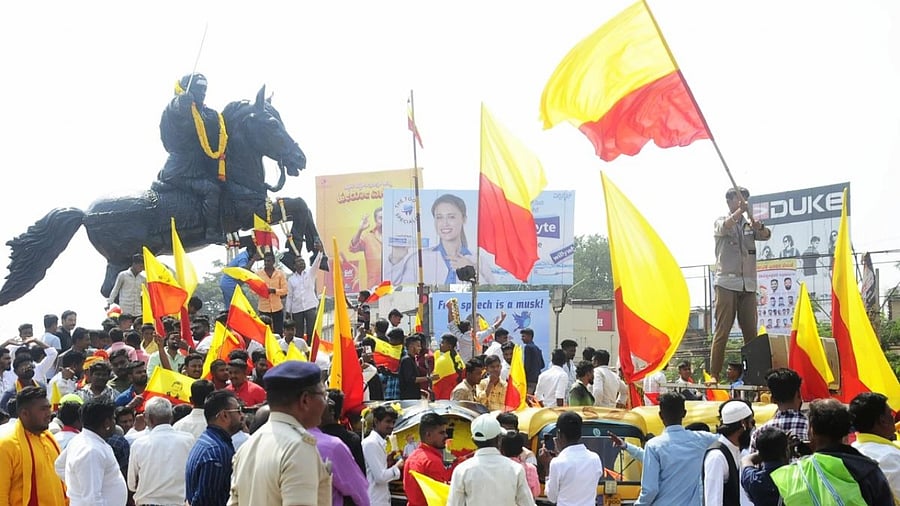 Representative Image. Credit: DH Photo