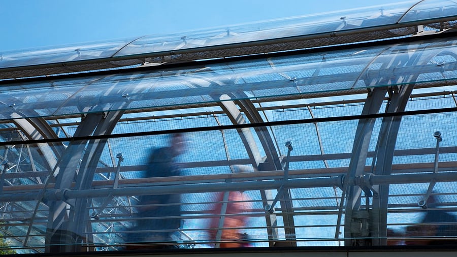 Representative image. Credit: iStock Photo