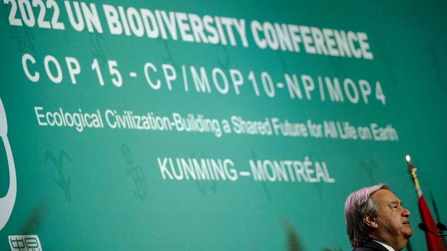 United Nations Secretary General Antonio Guterres speaks during the opening ceremony of the United Nations Biodiversity Conference (COP15). Credit: AFP Photo