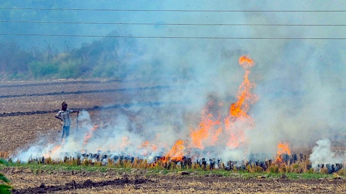 Representative image. Credit: PTI Photo