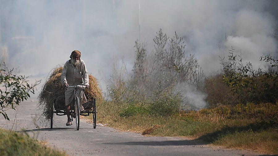 India wants to convert its 230 million tons of annual farm waste and massive piles of kitchen refuse into energy to help reduce fuel imports and improve air quality. Credit: AFP Photo