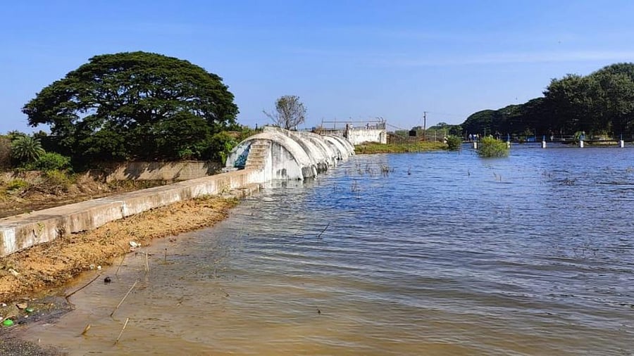 A view of the Hesaraghatta Lake. Credit: Special Arrangement