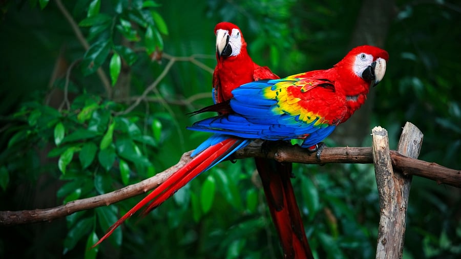 Representative image. Credit: iStock Photo