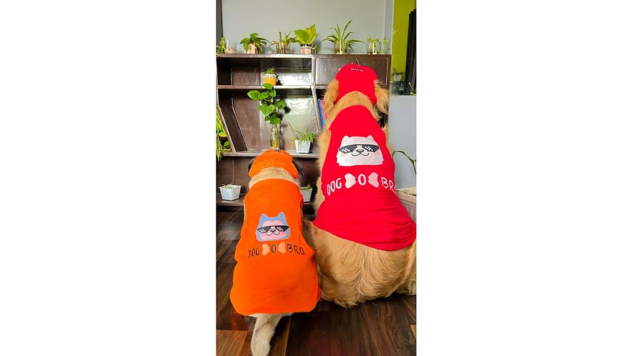 Hyderabad-based Dogobow offers scarves, shirts, bowties and bandanas for dogs.