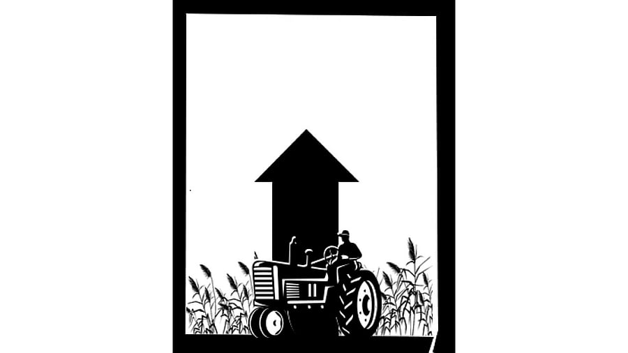 Credit: DH illustration