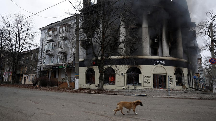 A dog walks past a building burned from a strike, as Russia's attack on Ukraine continues, during intense shelling in Bakhmut, Ukraine. Credit: Reuters Photo