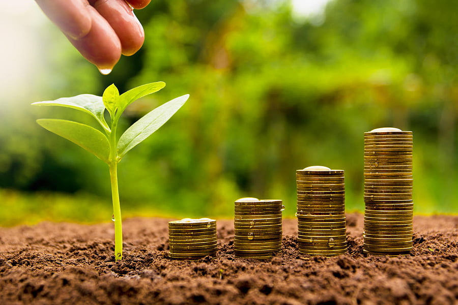 Representative Image. Credit: iStock Photo