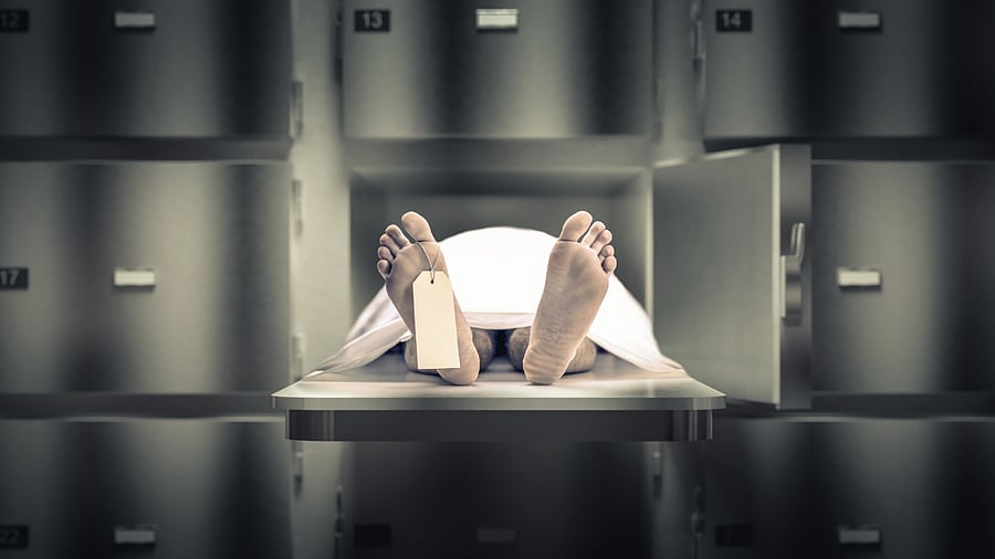 Representative image. Credit: iStock Photo