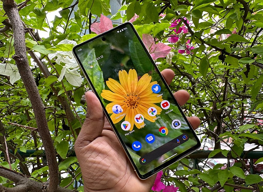 Google Pixel 7. Credit: DH Photo/KVN Rohit