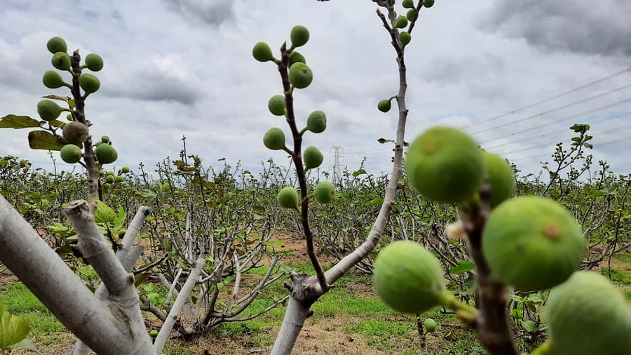 Credit: Special arrangement