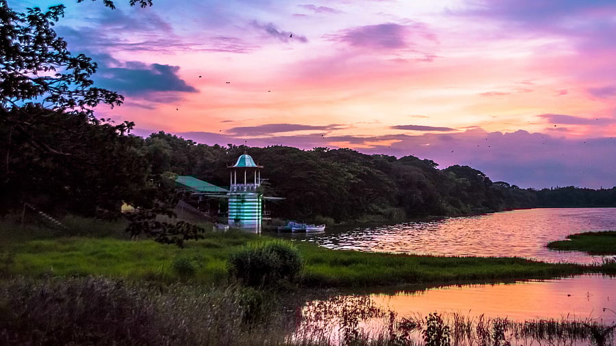 A view of the Kukkarahalli Lake in Mysuru. DH File Photo