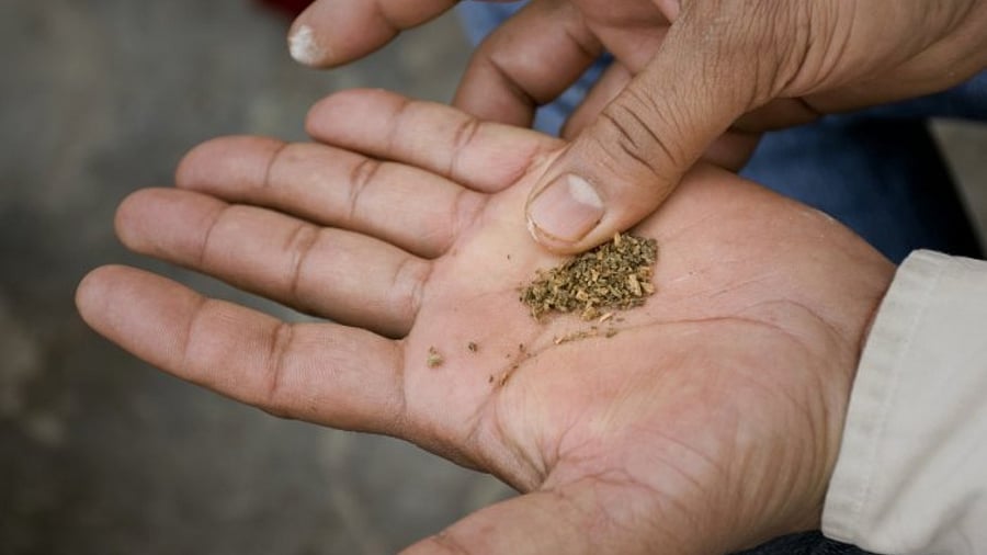 Representative image. Credit: iStock Photo