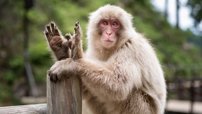 Representative Image. Credit: Unsplash Photo