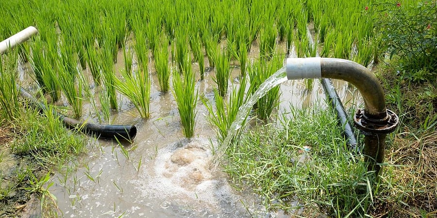 [Representational Image] Borewell water being fed to paddy field in Davangere. PV Photo/Satish Badiger 