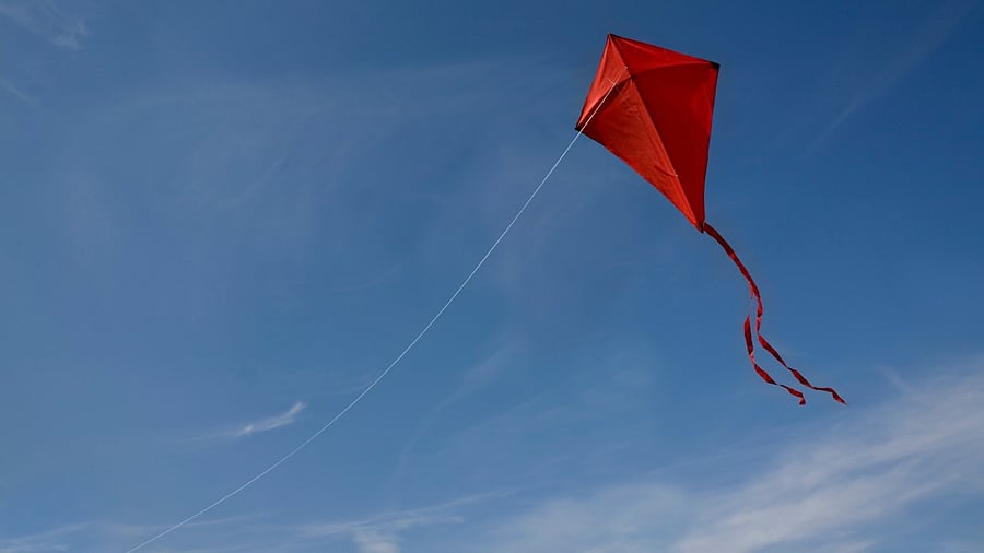 Representative Image. Credit: iStock Photo