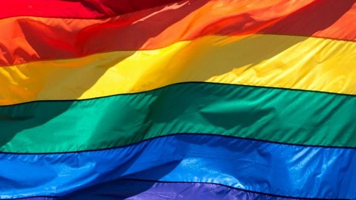 <div class="paragraphs"><p> LGBTQIA flag.</p></div>