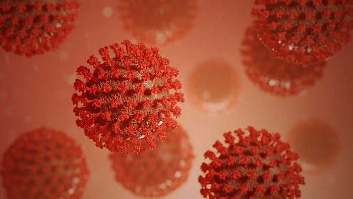 The human immune system has evolved to deal with a host of different infections. It has a variety of weapons it can deploy which work together not only to eradicate infectious agents, but also to remember them for a more rapid and tailored response upon any subsequent encounter. Representative image. Credit: iStock Photo