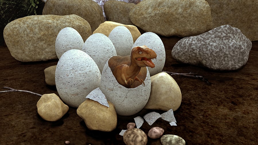 Representative image. Credit. iStock Photo