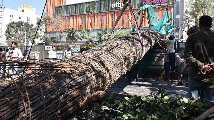 According to the source, the expert team felt the reinforcement cage could crash only when the system used to support it laterally failed. Credit: Special Arrangement