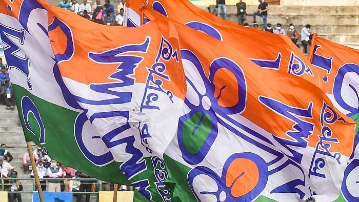 The TMC flag. Credit: PTI File Photo
