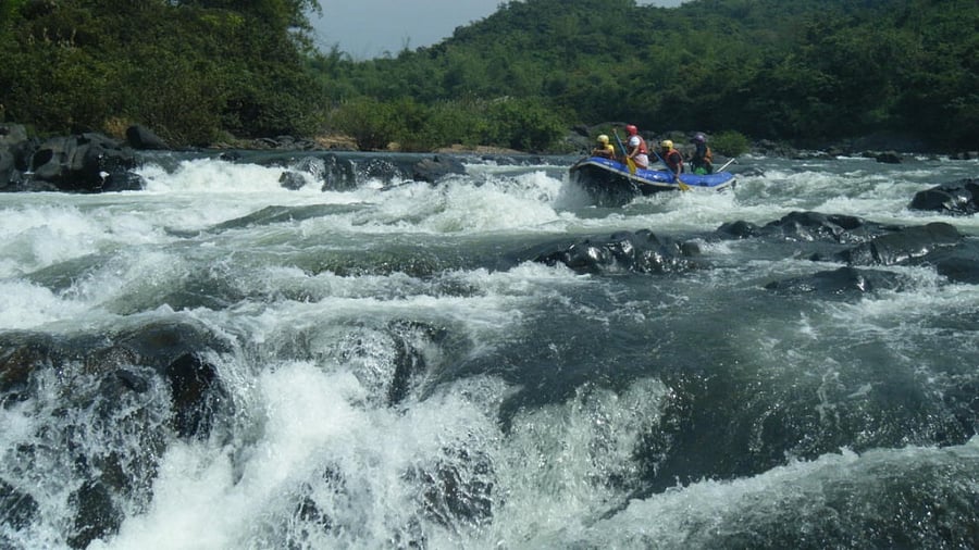 File photo of Mahadayi river in Goa. Credit: DH Photo