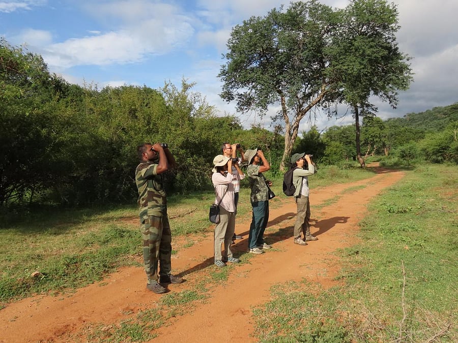 Birdwatching is one of the areas where citizen science is widely used. Photo credit: Mittal Gala