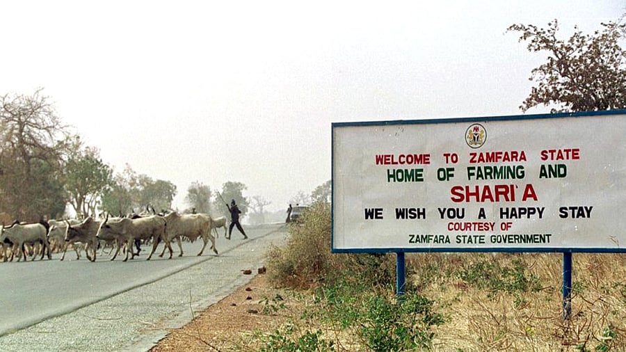 A file picture taken and released on May 8, 2018 shows a man herding his cattle in Zamfara. Credit: AFP Photo