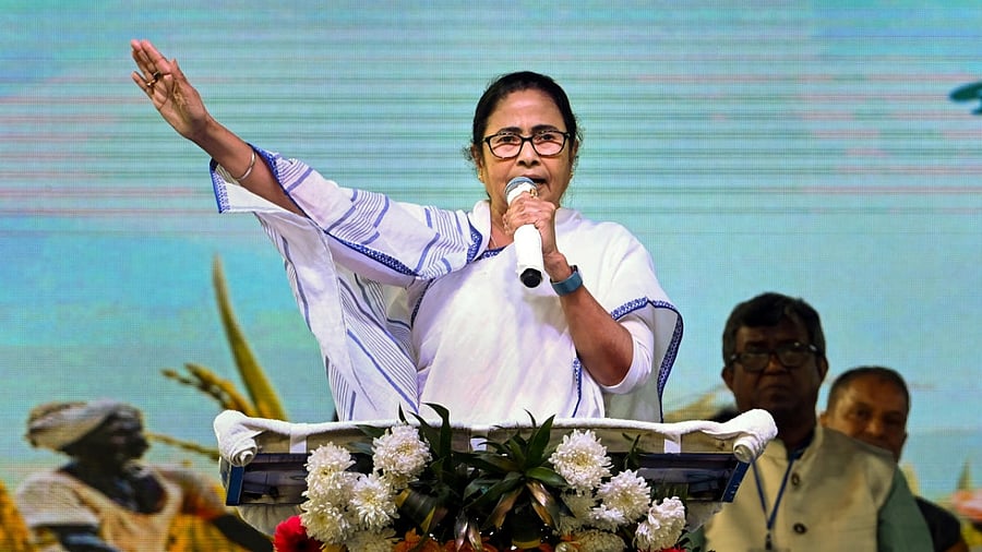 TMC supremo Mamata Banerjee. Credit: PTI Photo