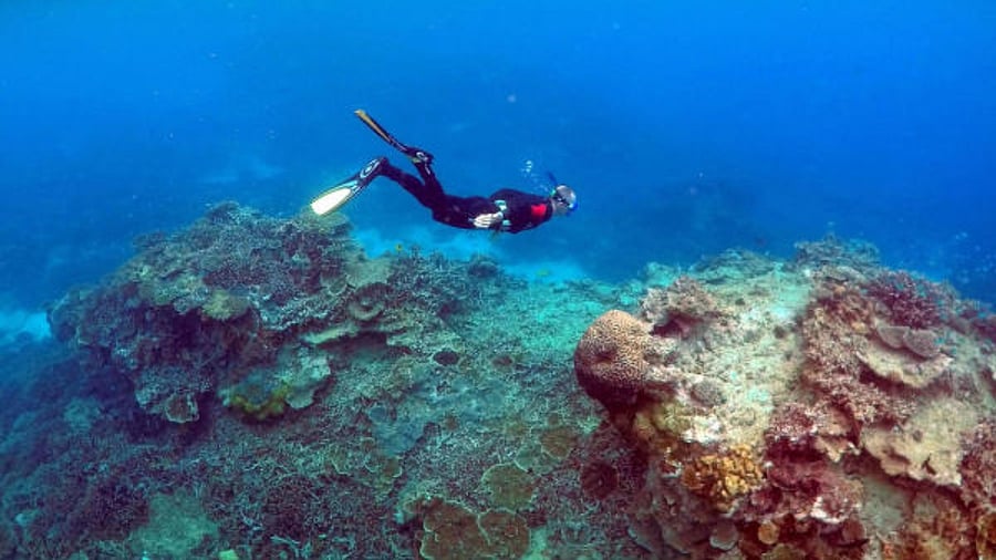View of Great Barrier Reef. Credit: Reuters File Photo