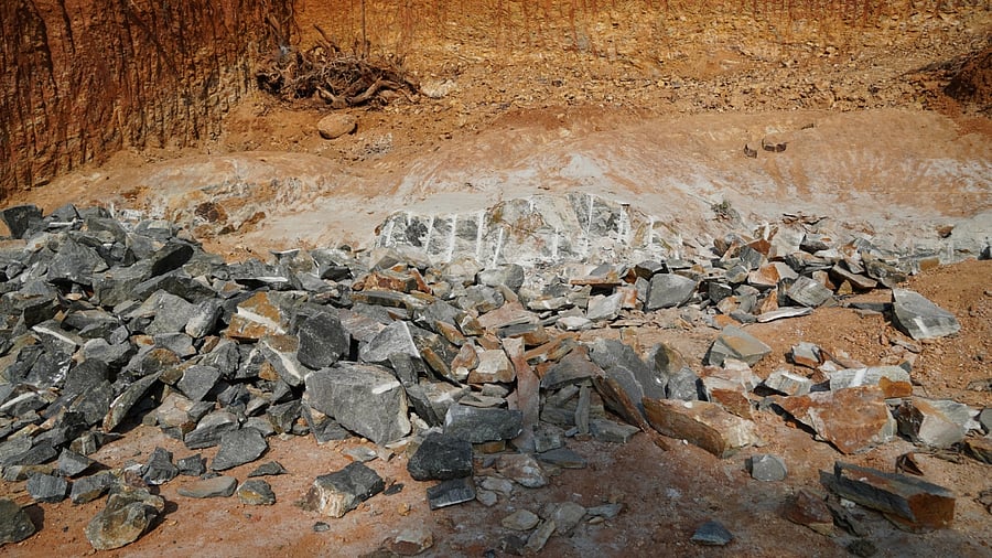 Representative image. Credit: iStock Photo